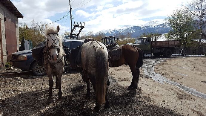 Trek à cheval dans les monts Altaï, Kazakhstan - LauraBS