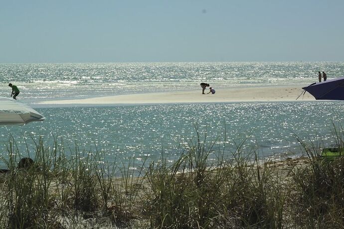 Road trip Floridien en famille - bedal