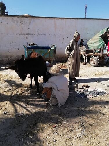 Re: Les mille splendeurs du Maroc! - Danouck