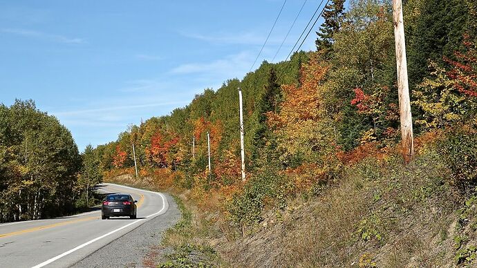 LesCouleurs d'automne au Québec. - puma