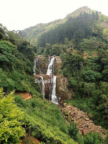 Les Sri Lanka Brothers Tour : chauffeur, itinéraire, conseils - Sylvie-974