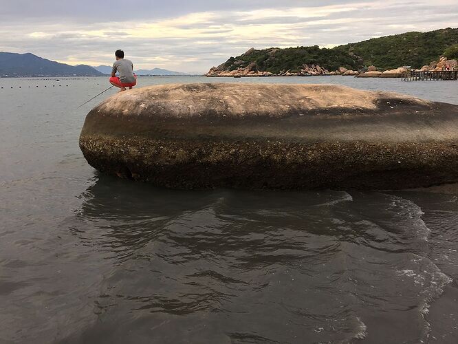 Re: Un plongeur de VinaDiving amène consciemment un client à détruire du corail vivant - Abalone_vn