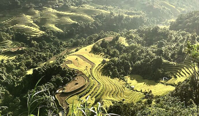 Hoang Su Phi 2017 - Abalone_vn