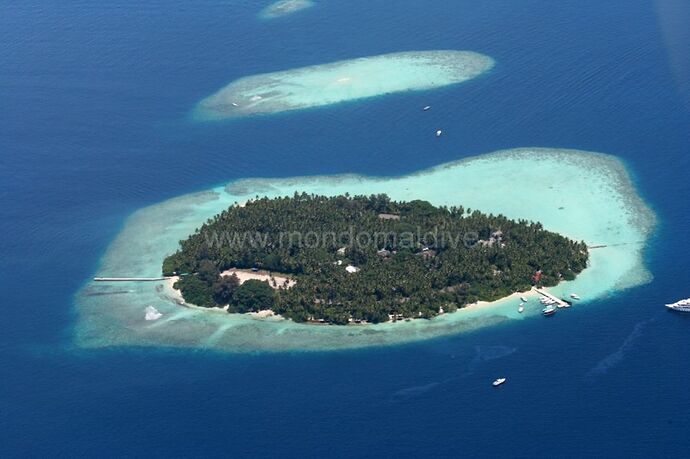 Snorkeling Biyadhoo house reef - Philomaldives  Guide  Maldives