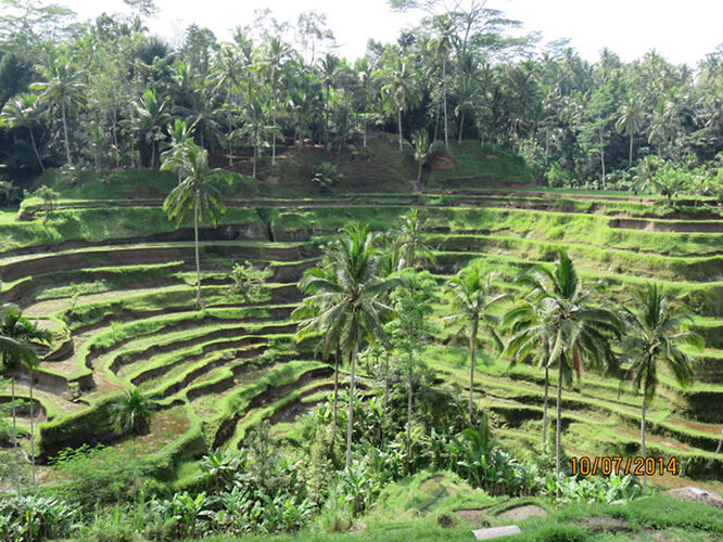 Une alternative à Ubud : ****   KELIKI   ***** - quinqua voyageuse