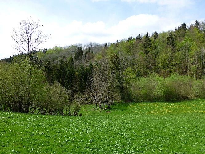 Re: Carnet de voyage, une semaine dans les Alpes au printemps  - Fecampois