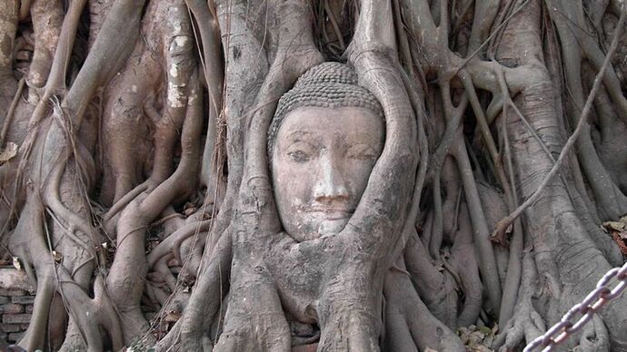 Re: Ayutthaya en journée de Bangkok ou étape dans l'itinéraire - quinqua voyageuse