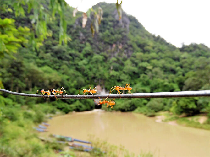 17 jours dans le sud du Laos - breizh da viken