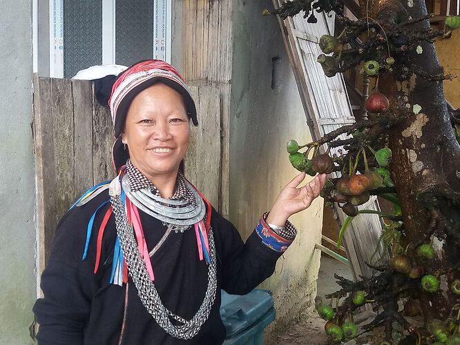 Re: Sapa ou Ha Giang ? - remyber