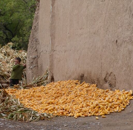 Re: Montagnes,oasis,kasbahs du Maroc  - mimidada