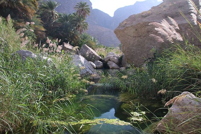 2 semaines de camping à Oman : des treks, des dunes et des wadis : Suite - Carines26