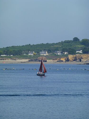 Re: Carnet de voyage, une semaine sous le soleil de Bretagne - Fecampois