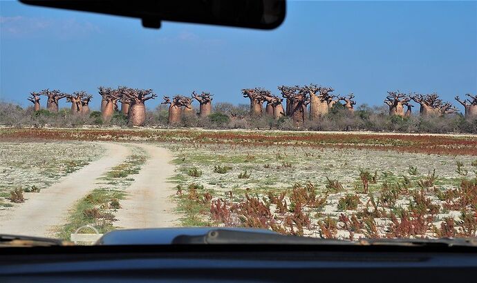 4 semai,es en 4x4 à Madagascar - PIHIEN