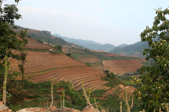 Re: sapa ou mu cang chai? - Abalone_vn