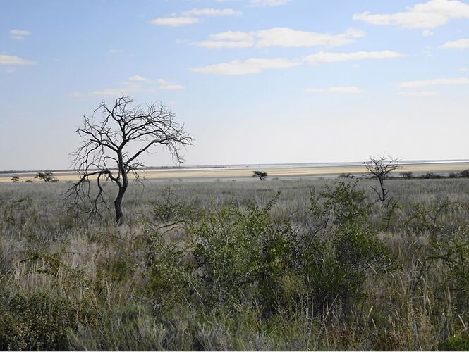 Re: 3 semaines en mai en Namibie : voyage magique  - Severine-B