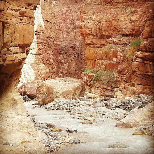 Re: Wadi Mujib avec enfants - Salsifi-Papillon