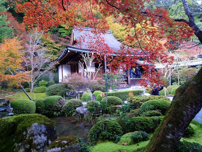 OHARA , la campagne à la porte de KYOTO, j'y étais !  - quinqua voyageuse