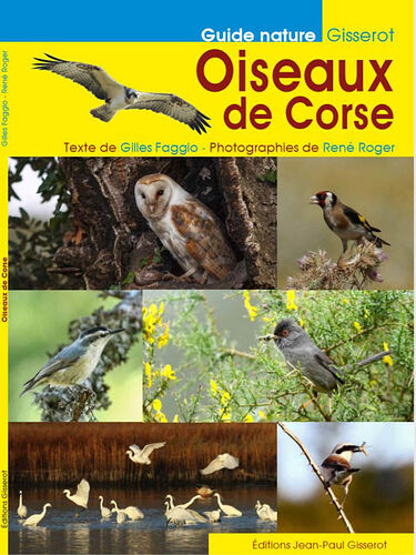 Livre sur les oiseaux de Corse. - puma