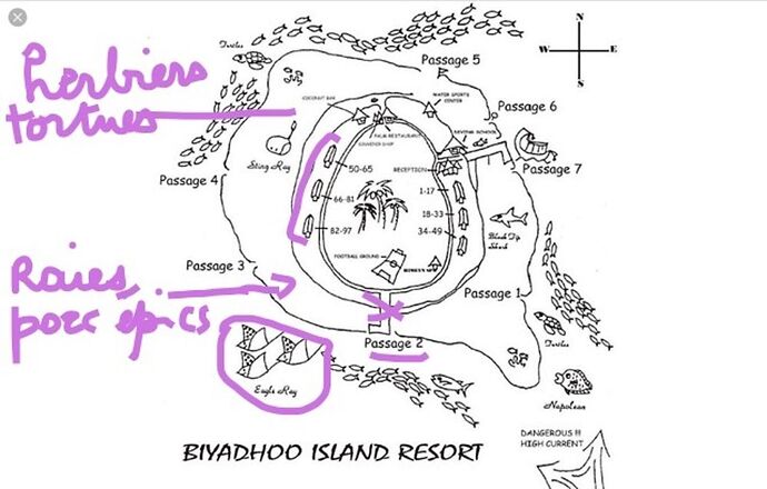 Re: Excursions et tarifs au Biyadhoo - Marie Noëlle 87