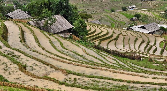 Re: Dernièes nouvelles de Sapa - chellmi