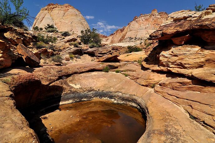 Parc national de Capitol Reef et Cathedral Valley - chellmi