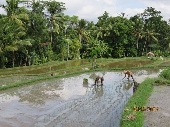 Re: Gueshouse à BALI - quinqua voyageuse