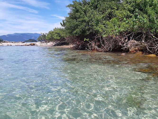 Ilha Grande une excursion superbe - France-Rio