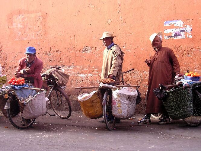 Re: Montagnes, oasis, kasbahs du Maroc  - mimidada