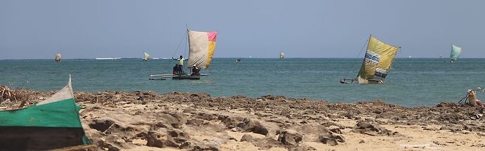 Re: Côte ouest de Tuléar à Morondava - worlder56