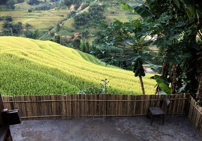 Re: Premières photos des rizières en terrasse au Vietnam 2016 - Abalone_vn Re: Premières photos des rizières en terrasse au Vietnam 2016 - Abalone_vn