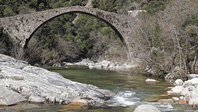 Une envie de Corse .... - puma