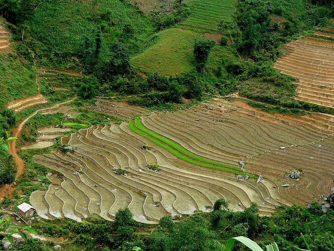 Re: 3937km au Vietnam: la traversée du Vietnam en scooter, de Saigon à Hanoi en passant par la Baie d'Halong et Sapa! - Abalone_vn