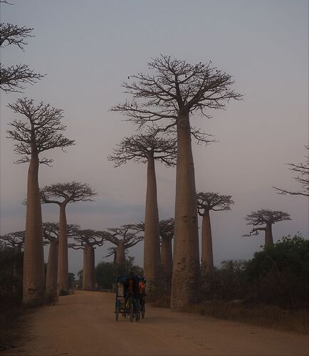 4 semai,es en 4x4 à Madagascar - PIHIEN