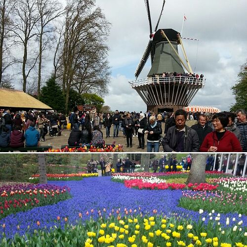 3 jours au pays des tulipes: Amsterdam et le Keukenhof - Mathou2139