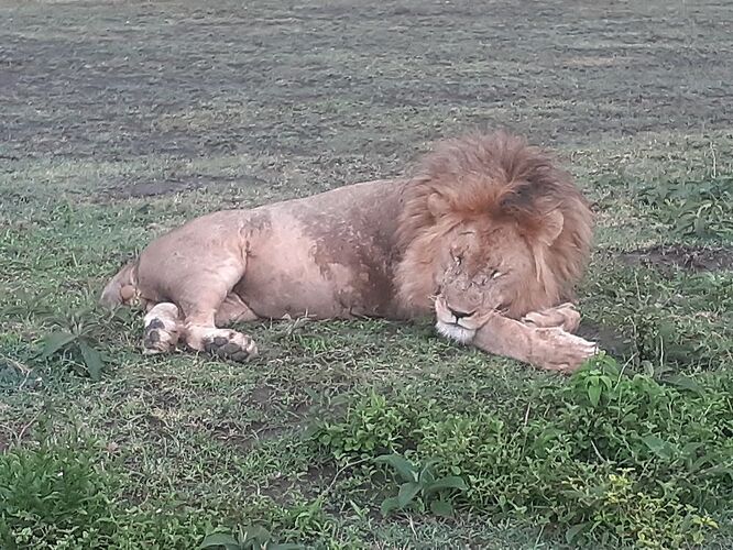 SAFARI PROPOSE PAR ELISABETH EN TANZANIE ET ZAZIBAR AVEC HORS PISTE - stephane-mardon