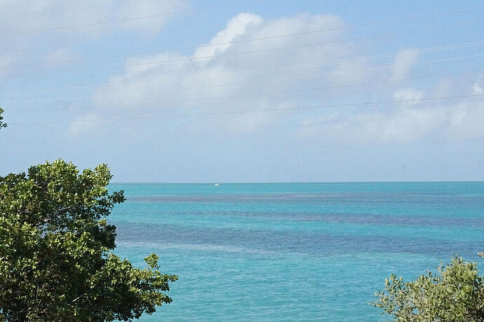 Découverte de le FLORIDE - Les KEYS & Les EVERGLADES - cartesien