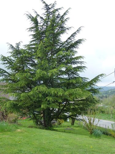 Re: Carnet de voyage, une semaine dans les Alpes au printemps  - Fecampois