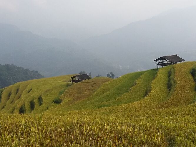 Re: Sapa ou Ha Giang ? - remyber