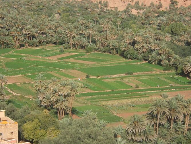 Re: Au retour de notre voyage en famille dans le sud du Maroc  - Kelyah