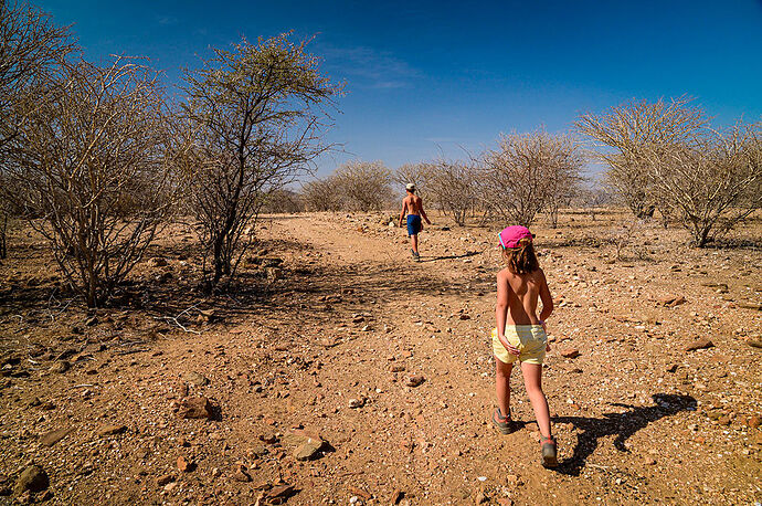 Re: Péripéties d’une famille en terres namibiennes - darth