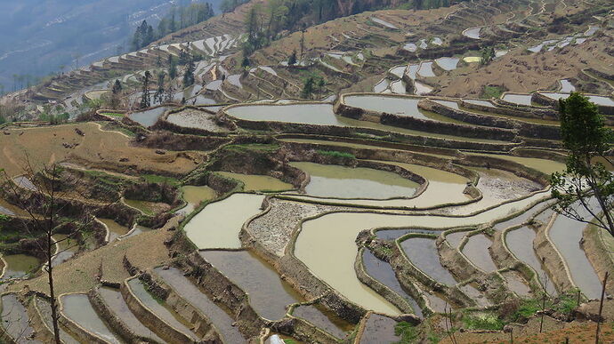 Re: Souvenirs d'un merveilleux voyage au Yunnan - PATOUTAILLE