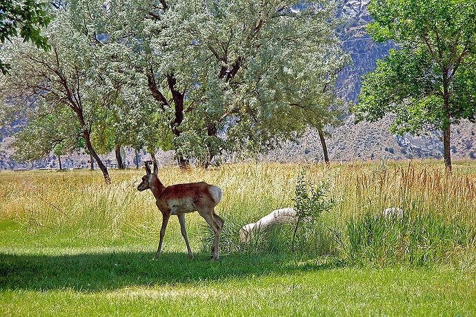 Vernal Jackson Hole par Flaming Gorge - Hiacinthe Vernal Jackson Hole par Flaming Gorge - Hiacinthe