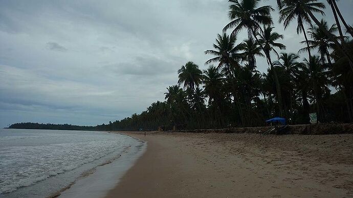 Re: Côte de Bahia : Plages du sud ou du nord de Salvador ?  - France-Rio