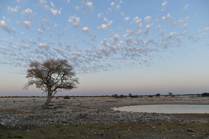 Re: Namibie - 15 jours en octobre 2018 - pascal41lc