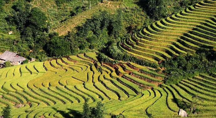 Meilleure période pour Sapa - Abalone_vn