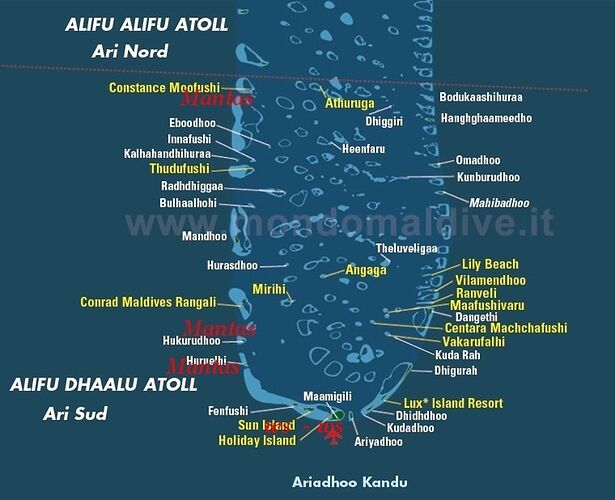 Ari Sud - Mantas et Requins Baleine - Philomaldives  Guide  Maldives