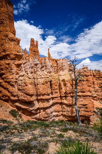 Mardi 9 août : Kodachrome State Park & Bryce Canyon - darth