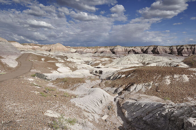 Dimanche 26 Juillet : Petrified Forest – Painted Desert NP - darth