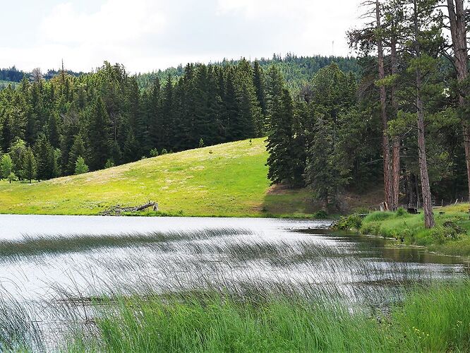 L'Ouest canadien à pleins poumons: épisode 2, l'Okanagan et la route vers la côté, via Whistler - fabienne65