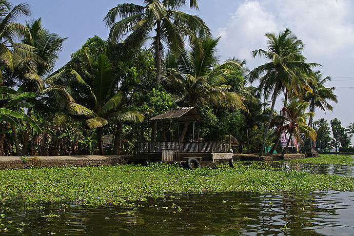 Re: Hiver Inde du Sud - Fanzi